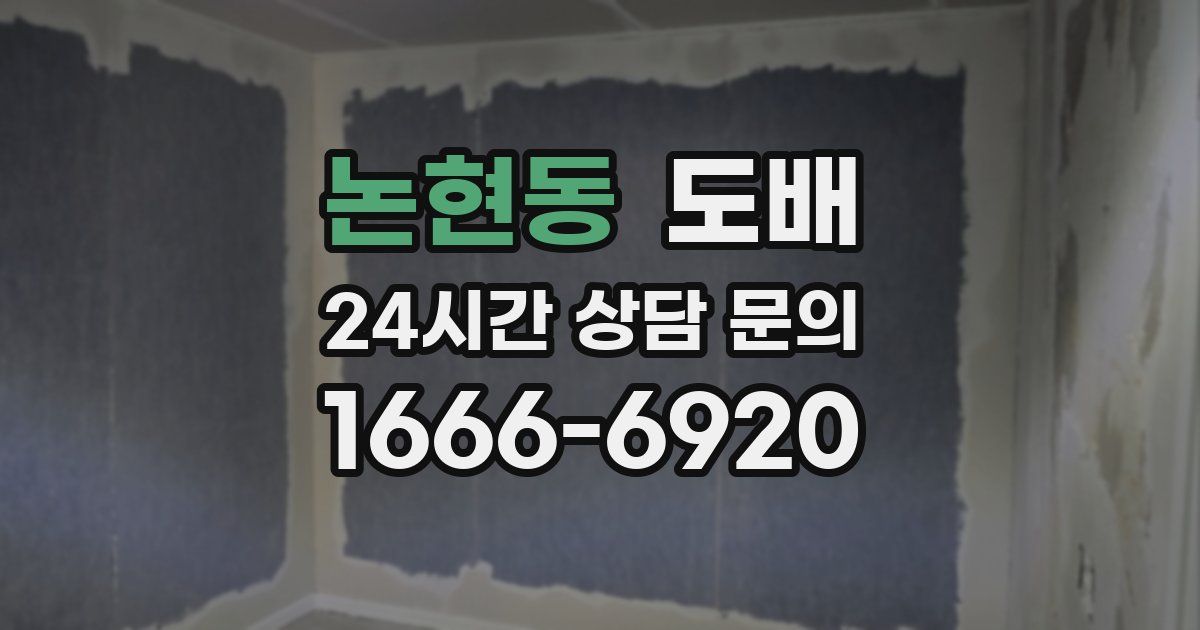 논현동 도배