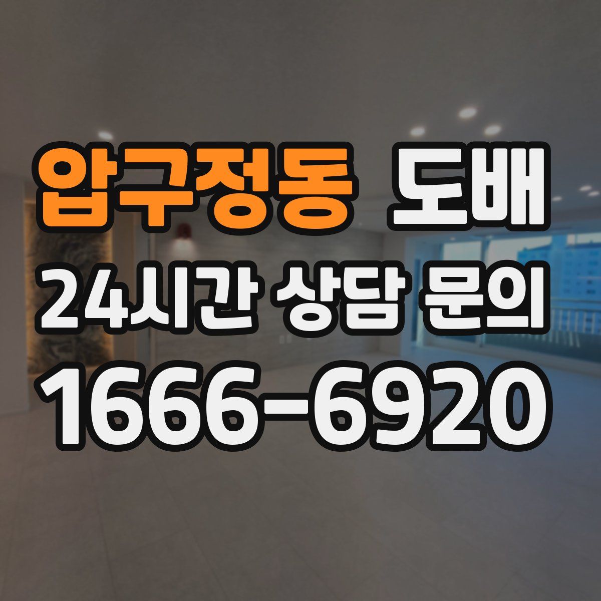 압구정동 도배