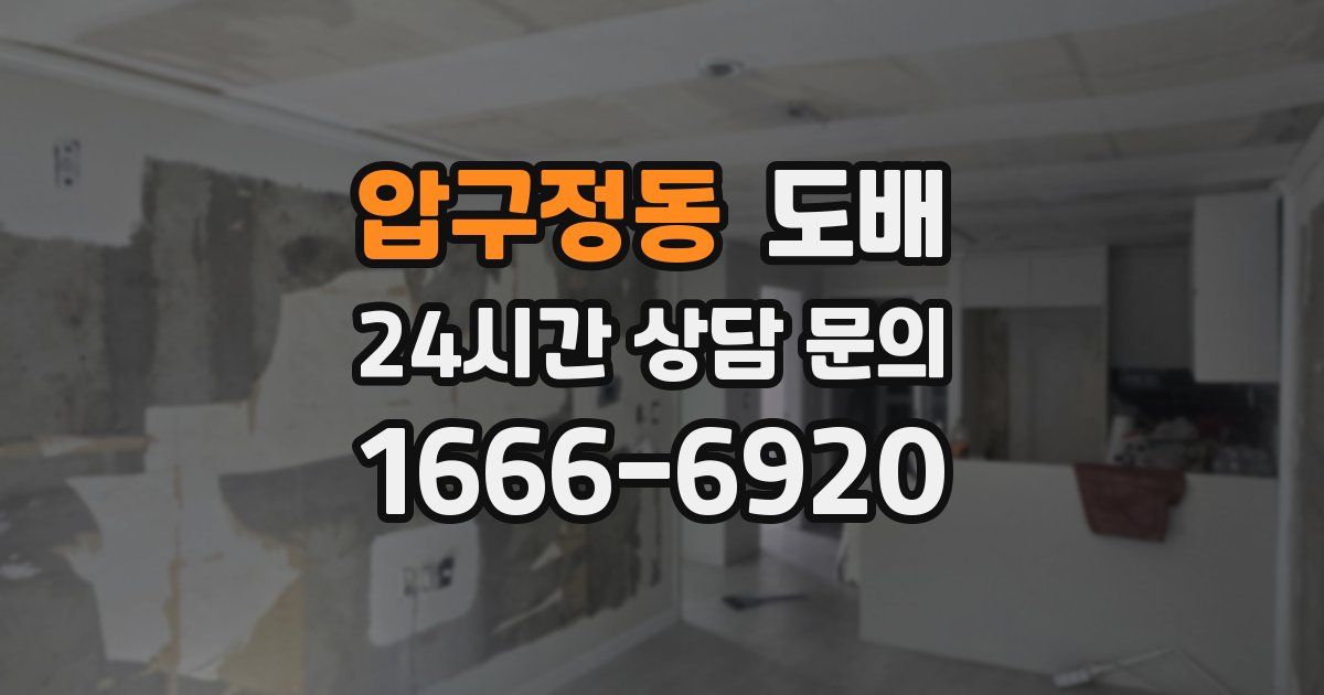 압구정동 도배