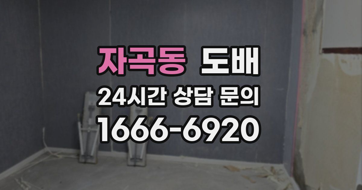 자곡동 도배