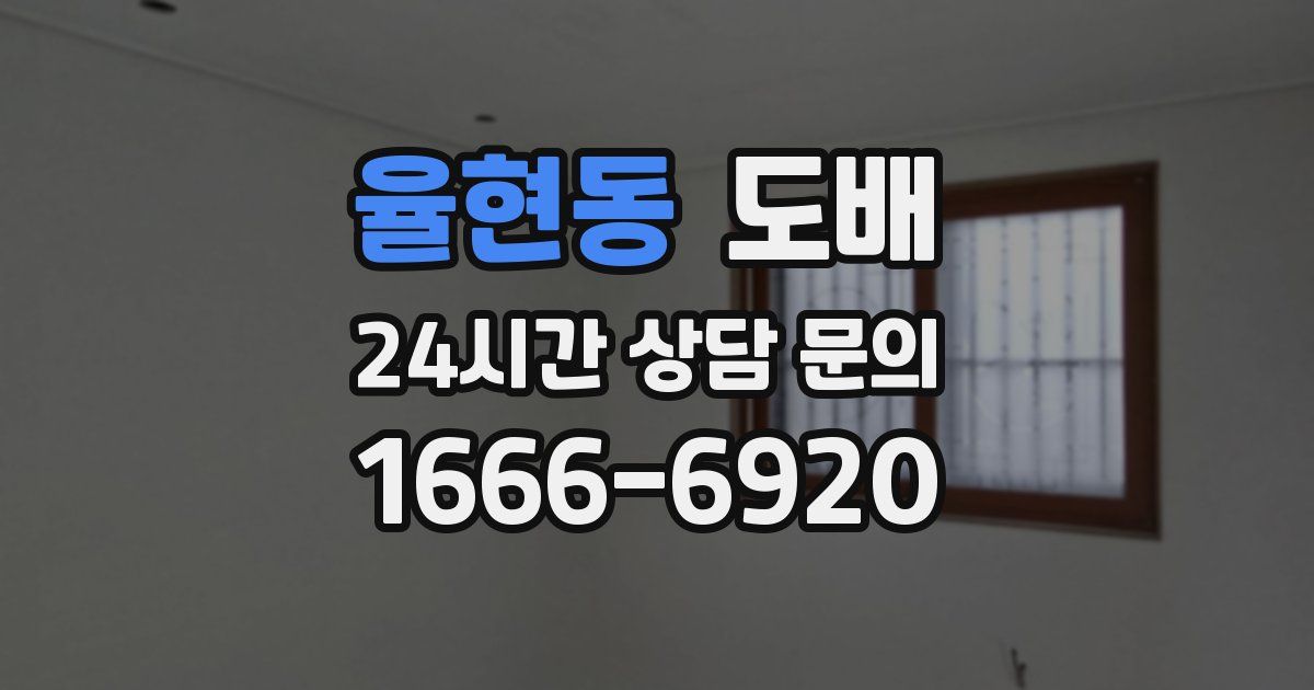 율현동 도배