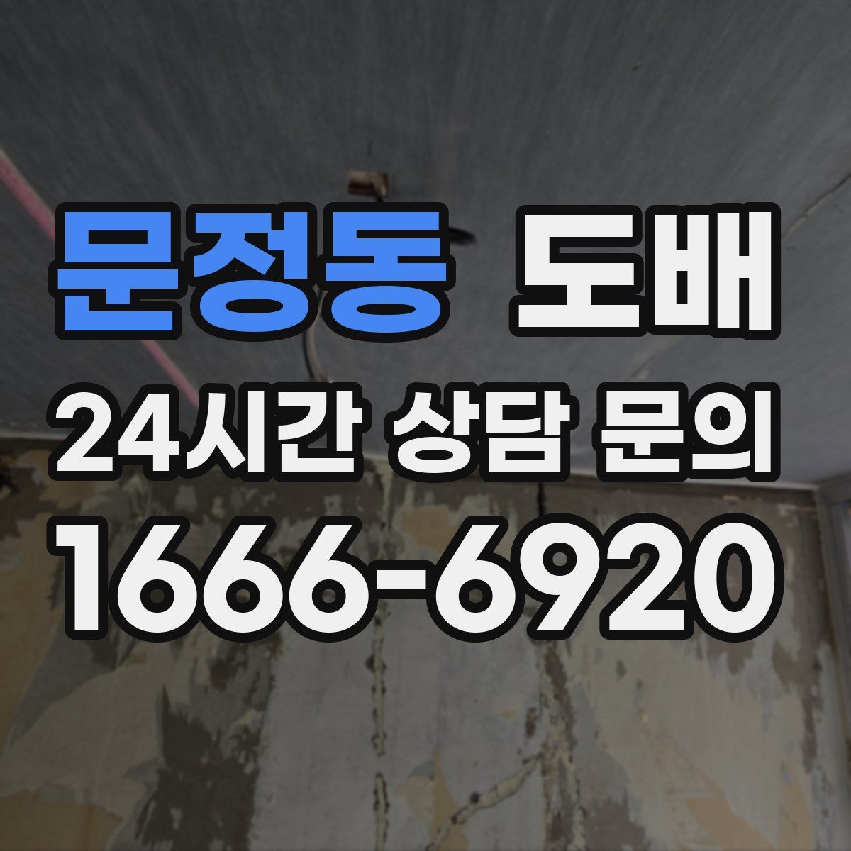 문정동 도배