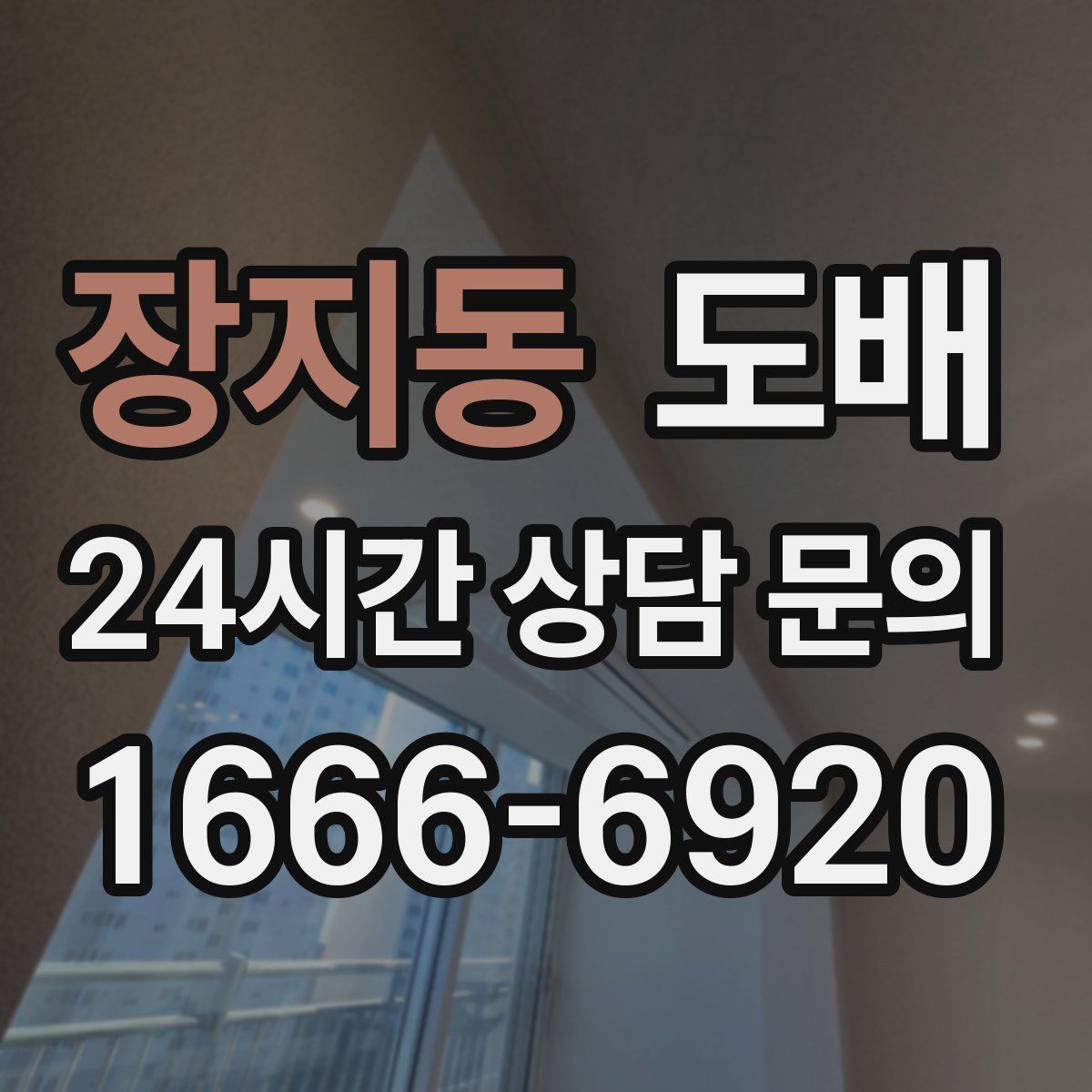 장지동 도배
