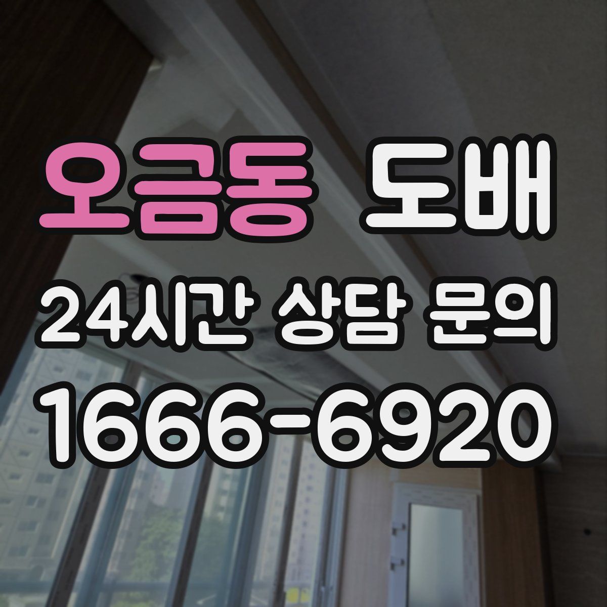 오금동 도배