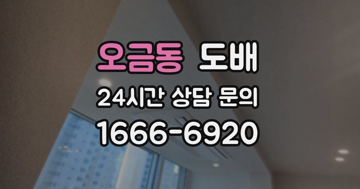 오금동 도배