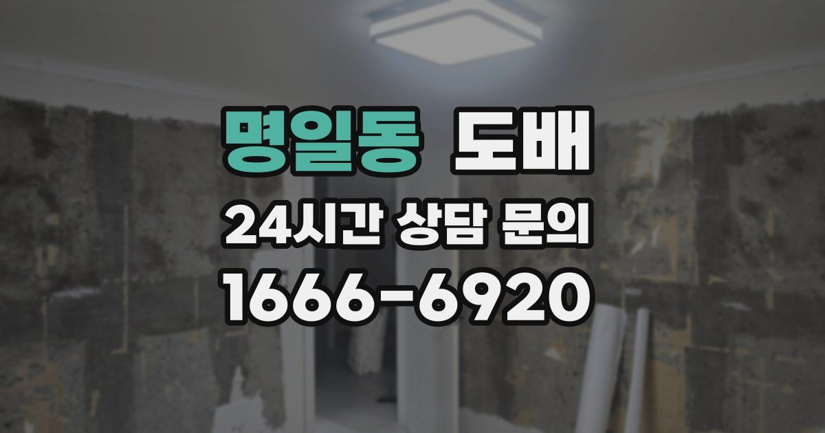 명일동 도배