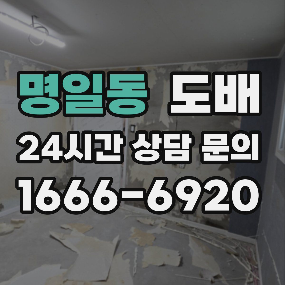 명일동 도배