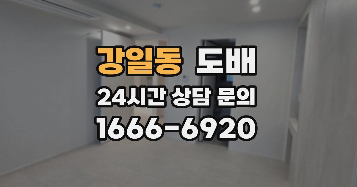 강일동 도배