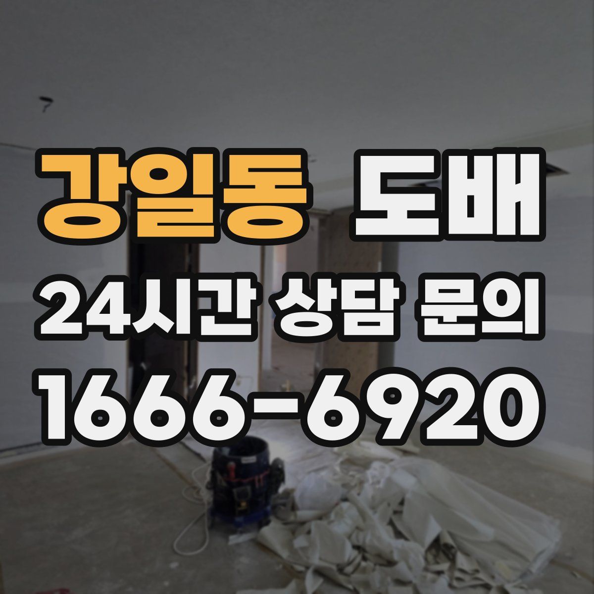 강일동 도배