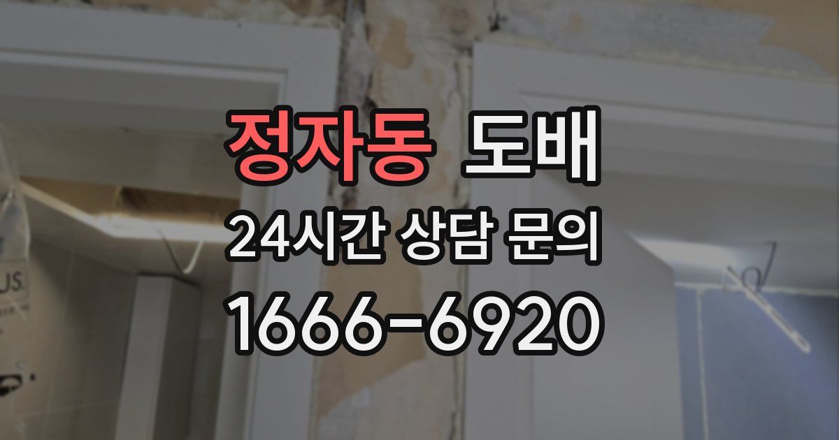 정자동 도배