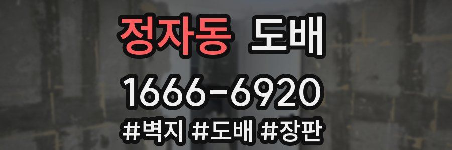 정자동 도배