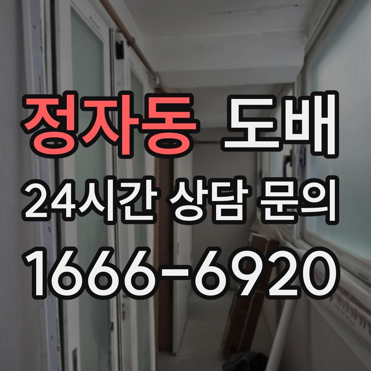 정자동 도배