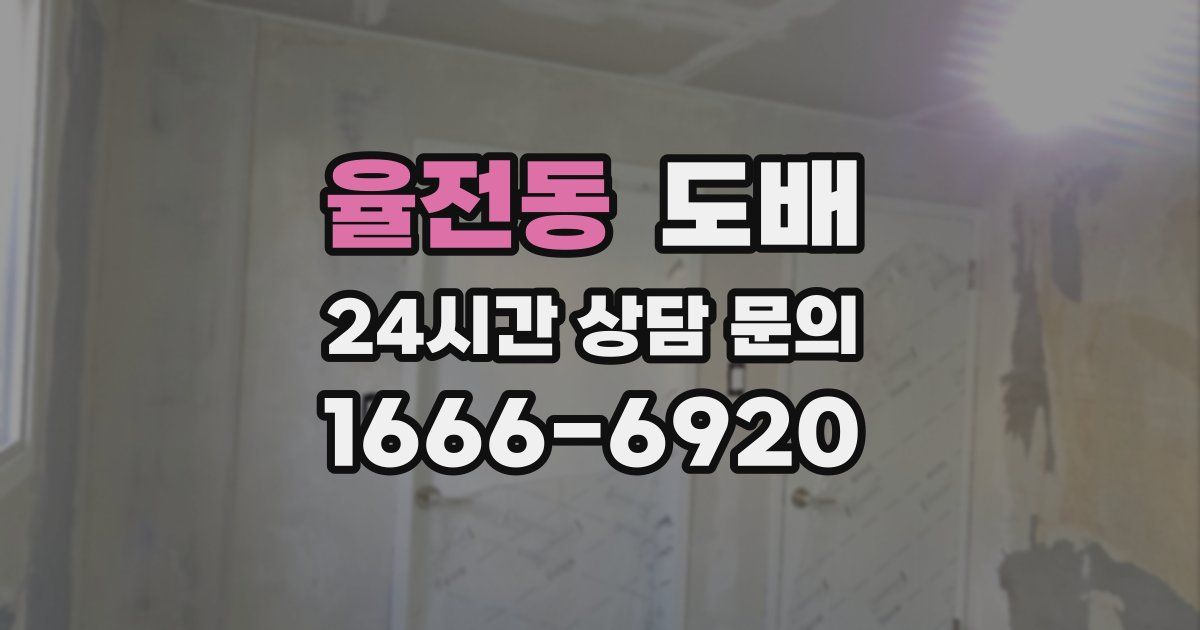 율전동 도배