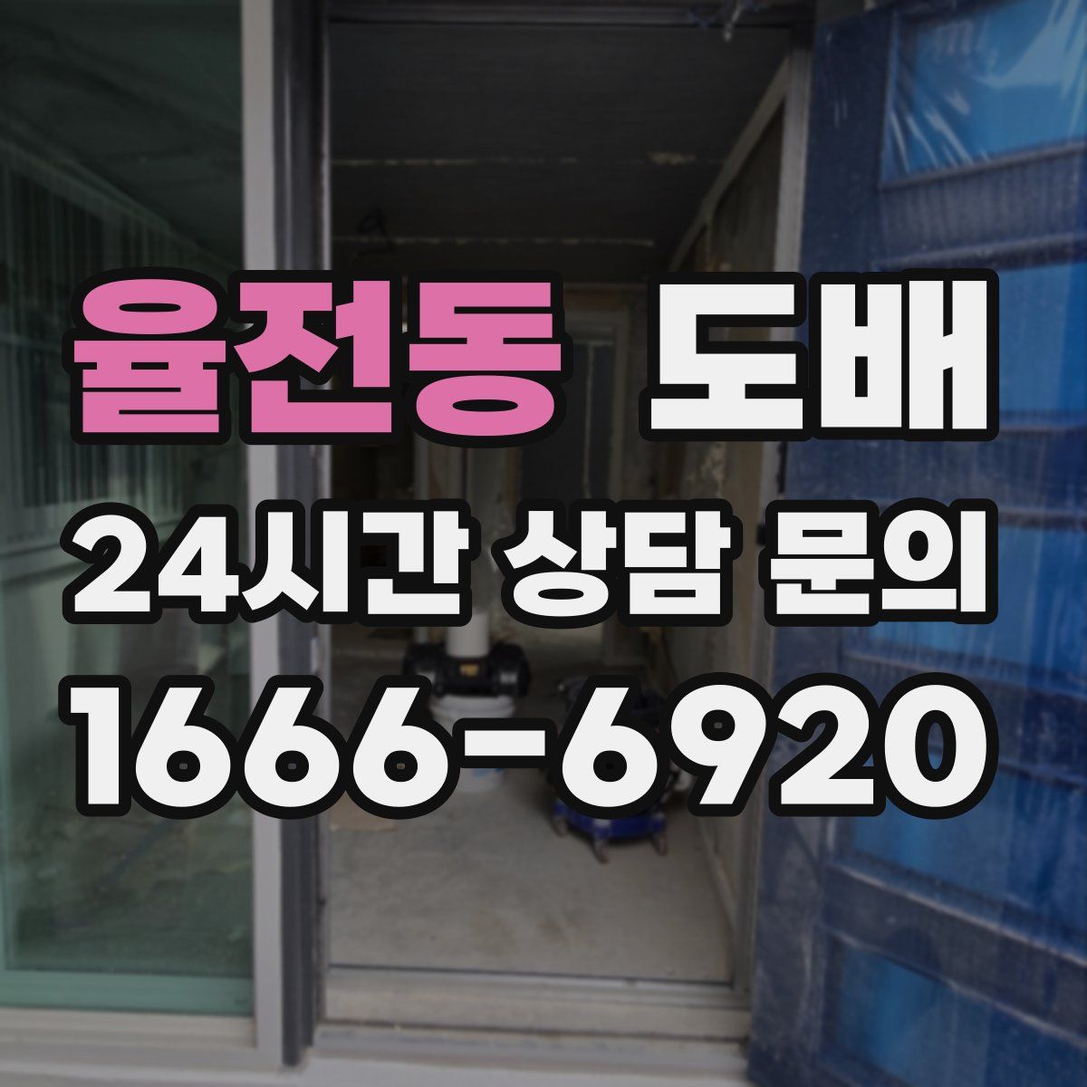 율전동 도배