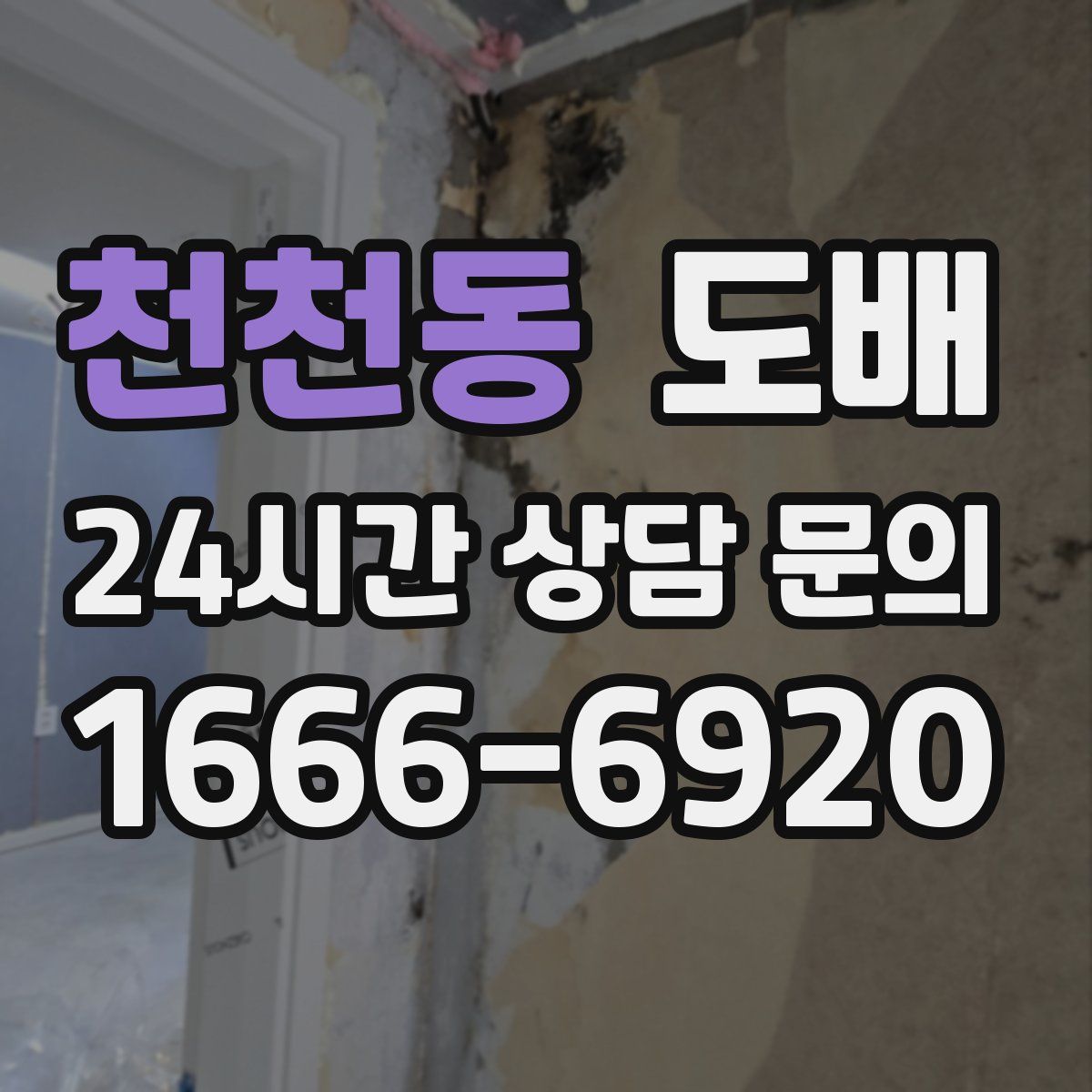천천동 도배