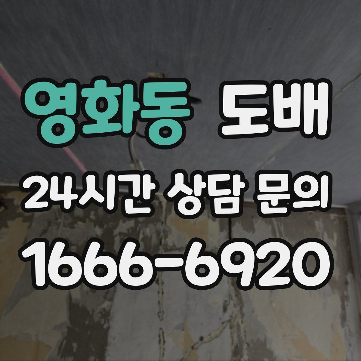영화동 도배