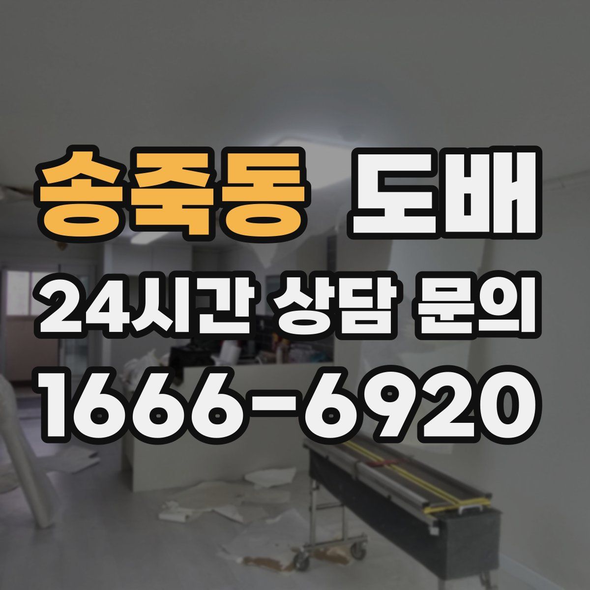 송죽동 도배