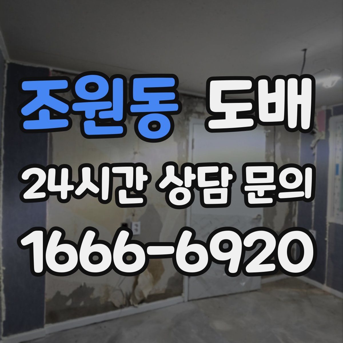조원동 도배