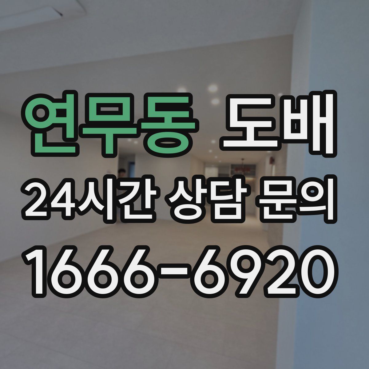 연무동 도배