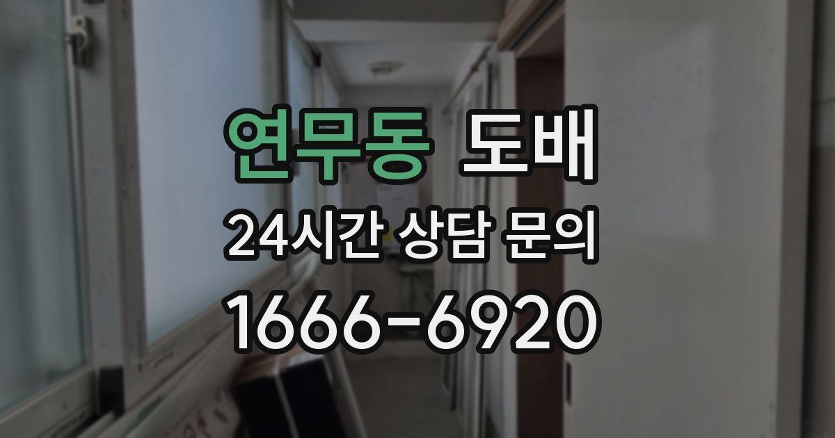연무동 도배
