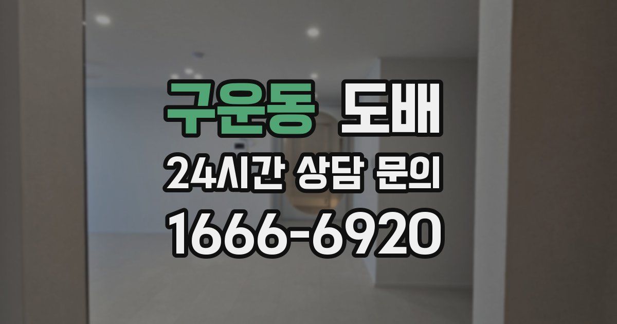 구운동 도배