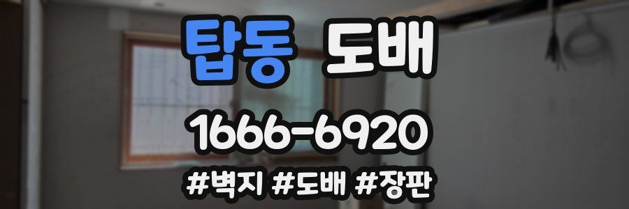 탑동 도배