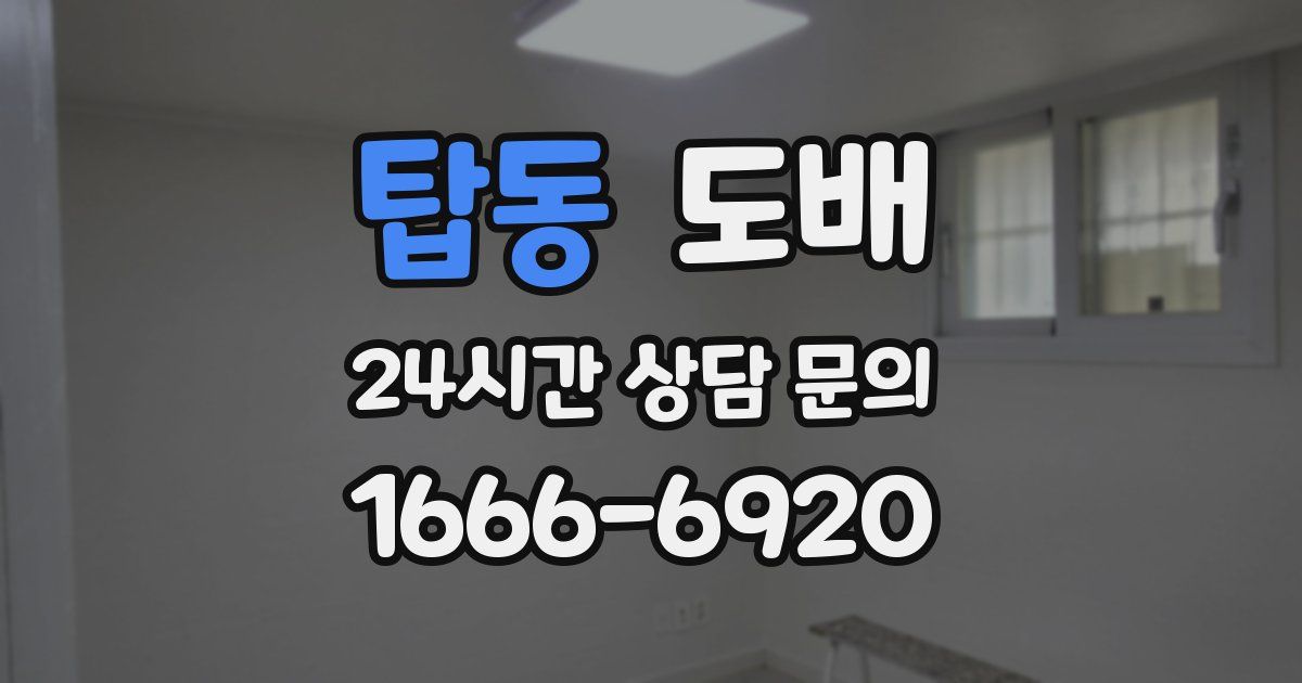 탑동 도배