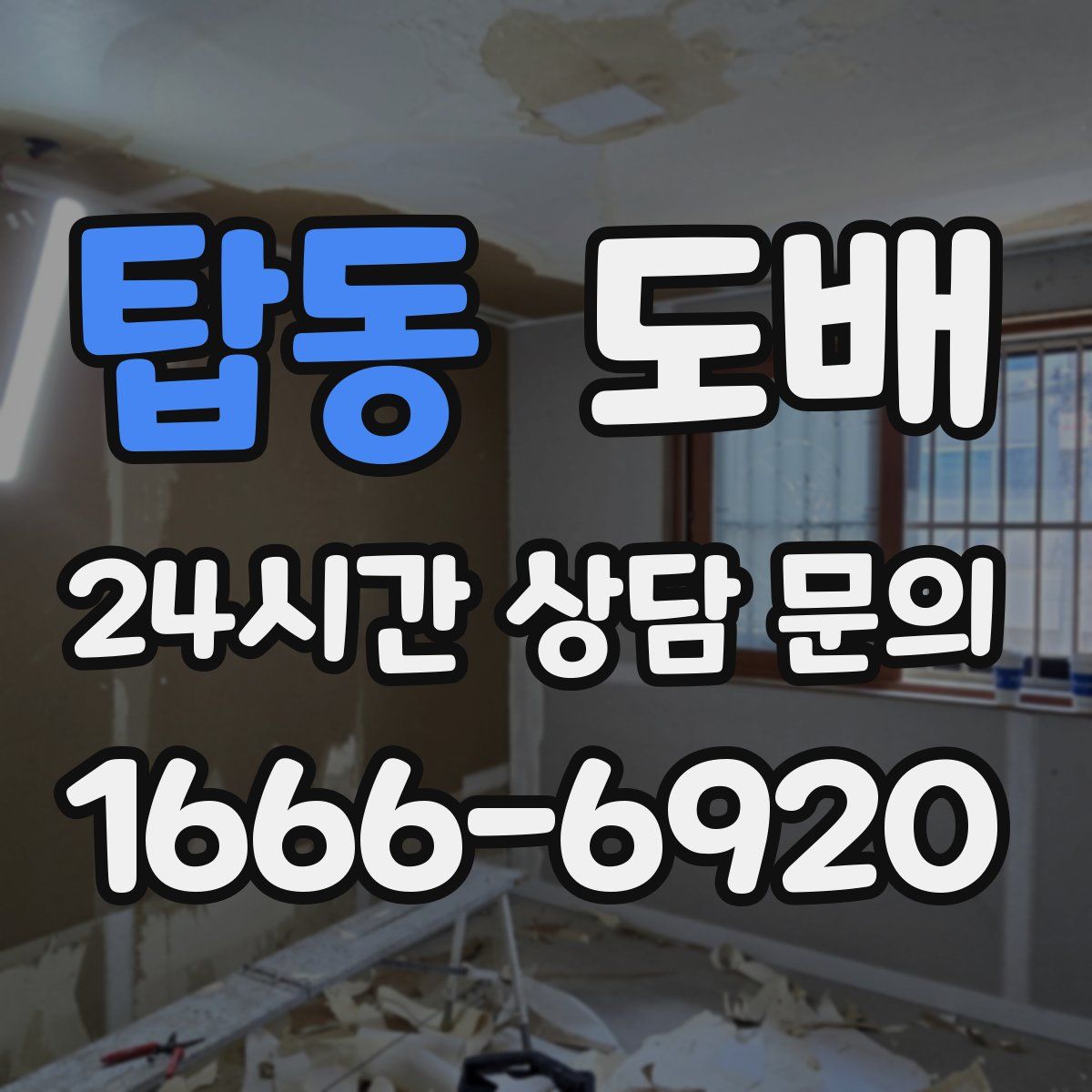 탑동 도배
