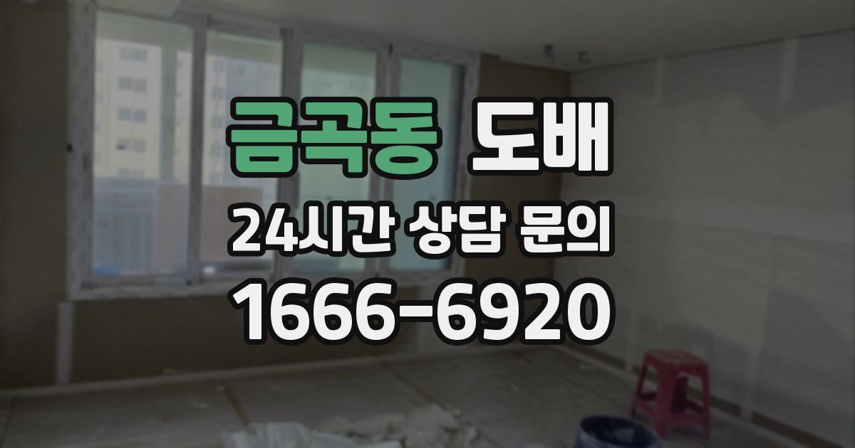 금곡동 도배