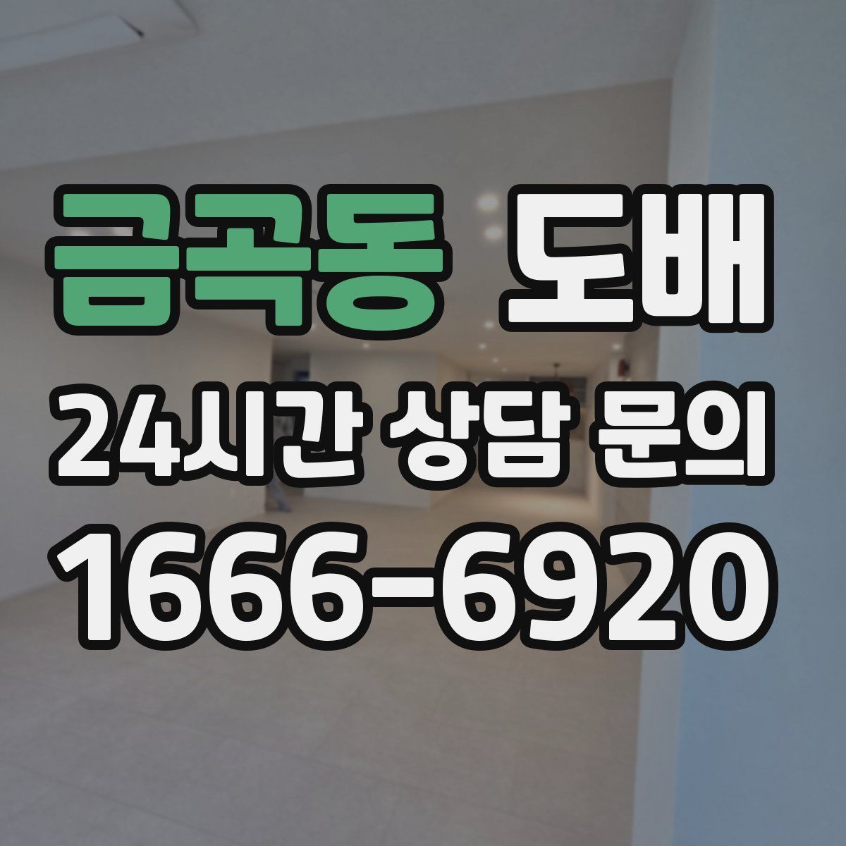 금곡동 도배