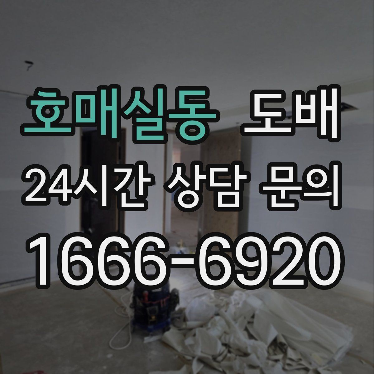 호매실동 도배 선택에서 실크벽지와 합지벽지 비교