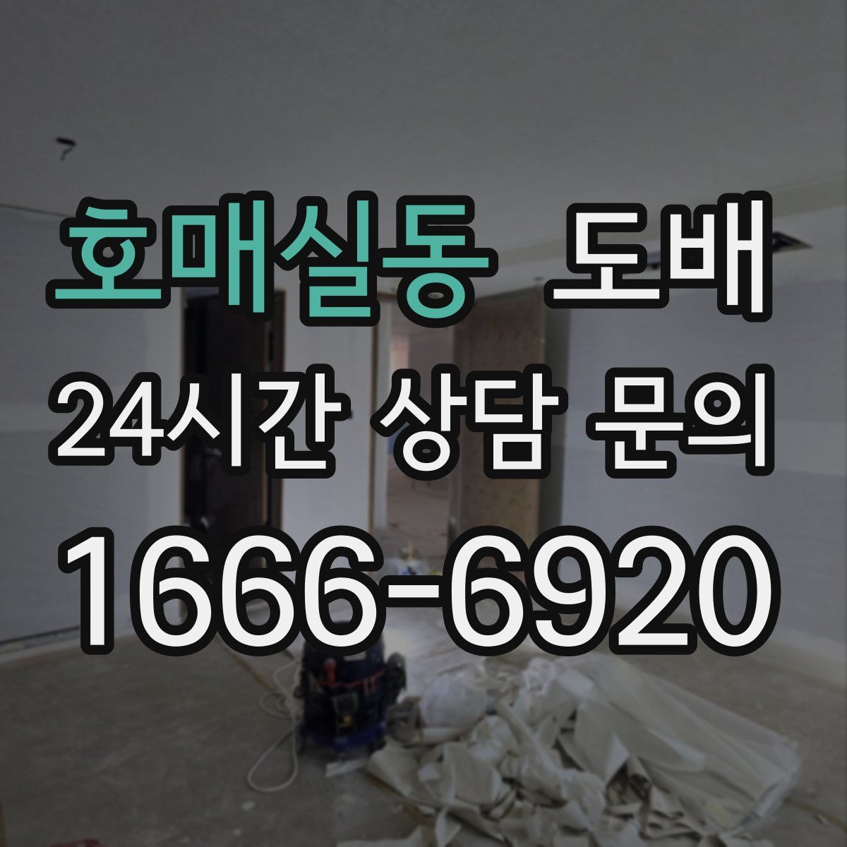 호매실동 도배