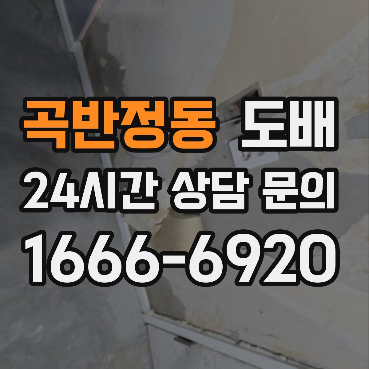 곡반정동 도배