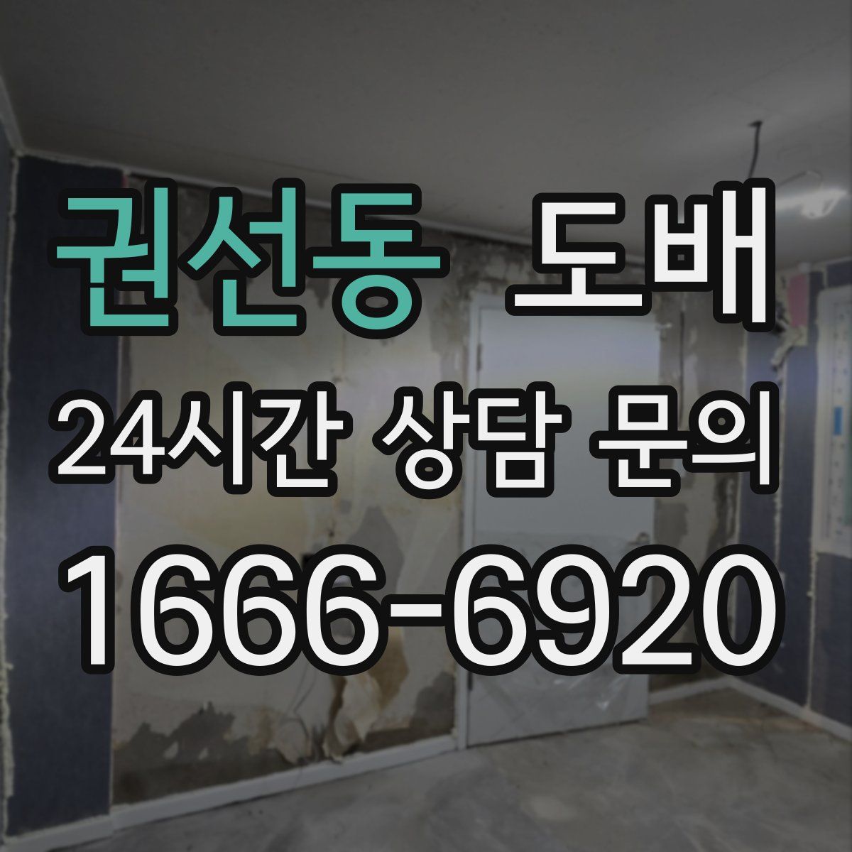 권선동 도배