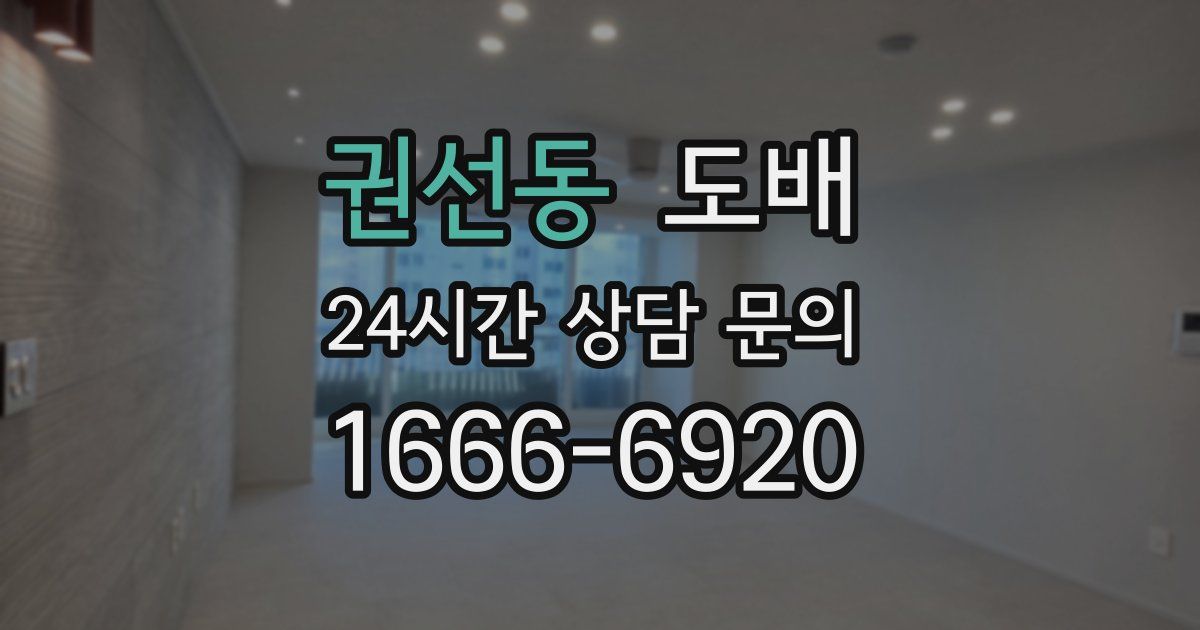 권선동 도배