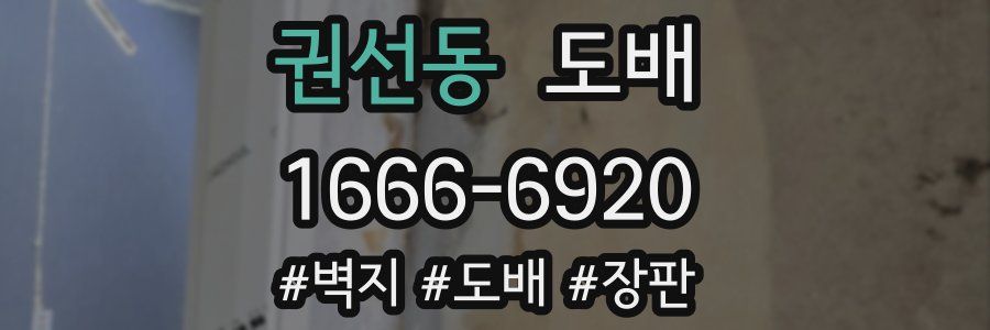 권선동 도배