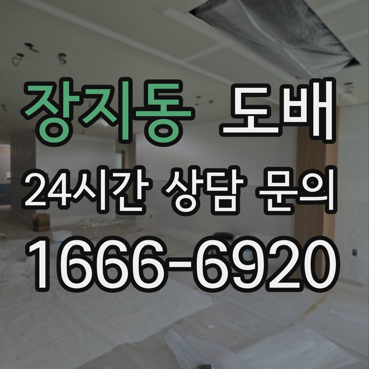 장지동 도배