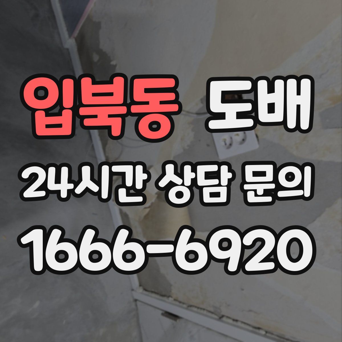 입북동 도배