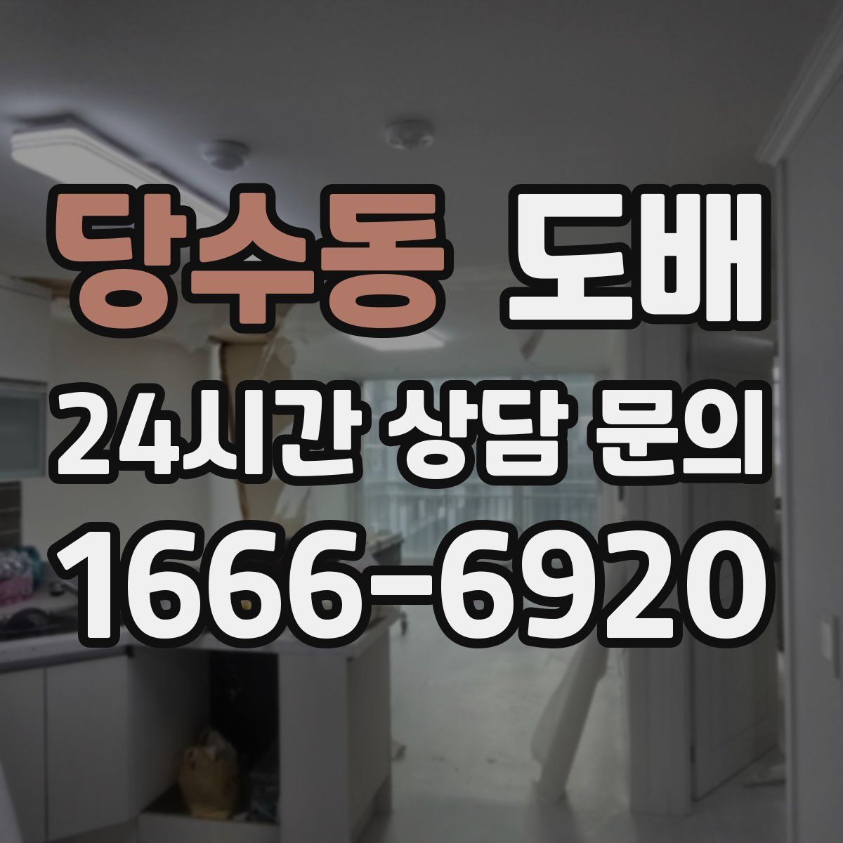 당수동 도배
