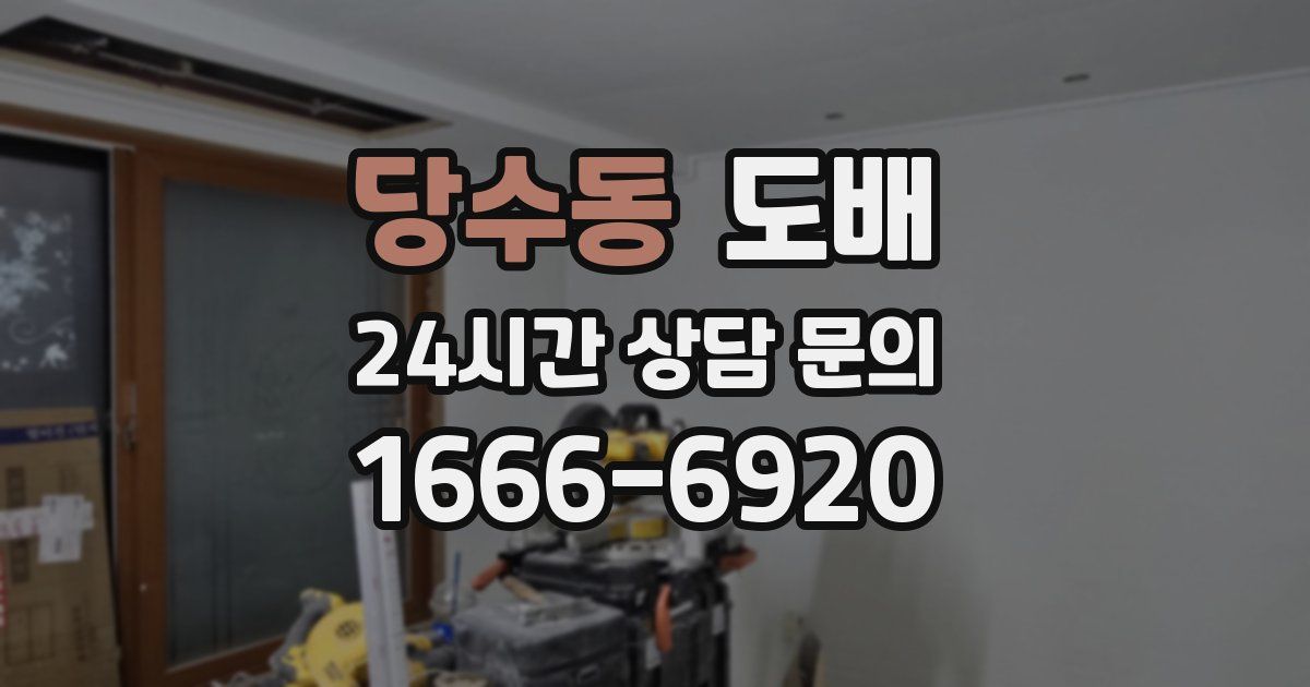 당수동 도배