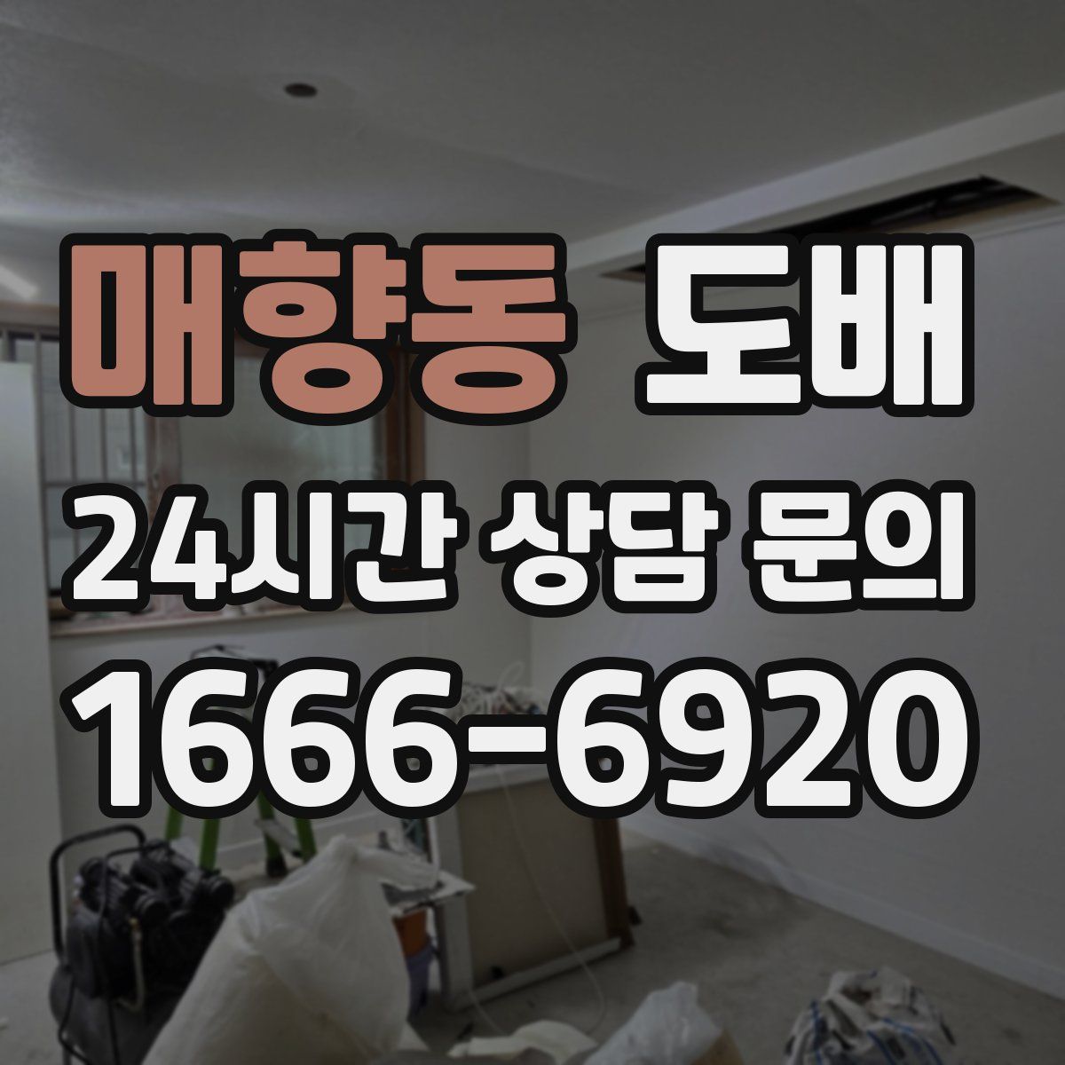 매향동 도배