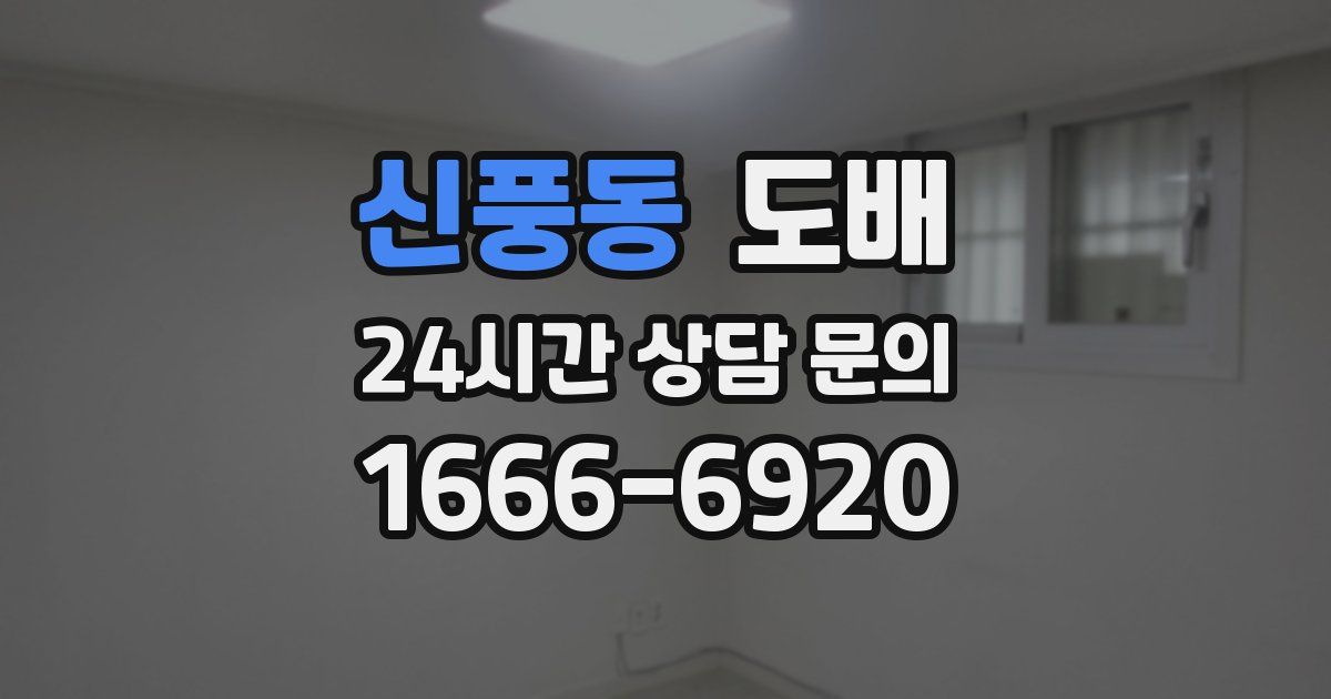 신풍동 도배