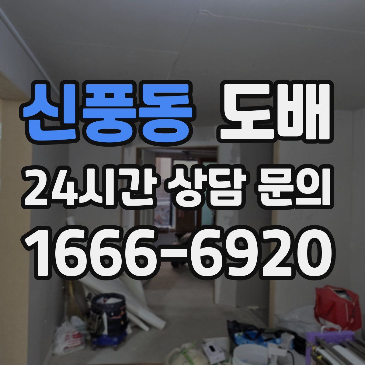 신풍동 도배