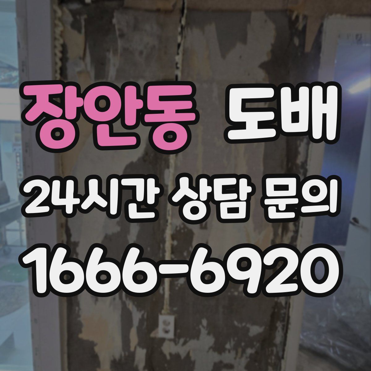 장안동 도배