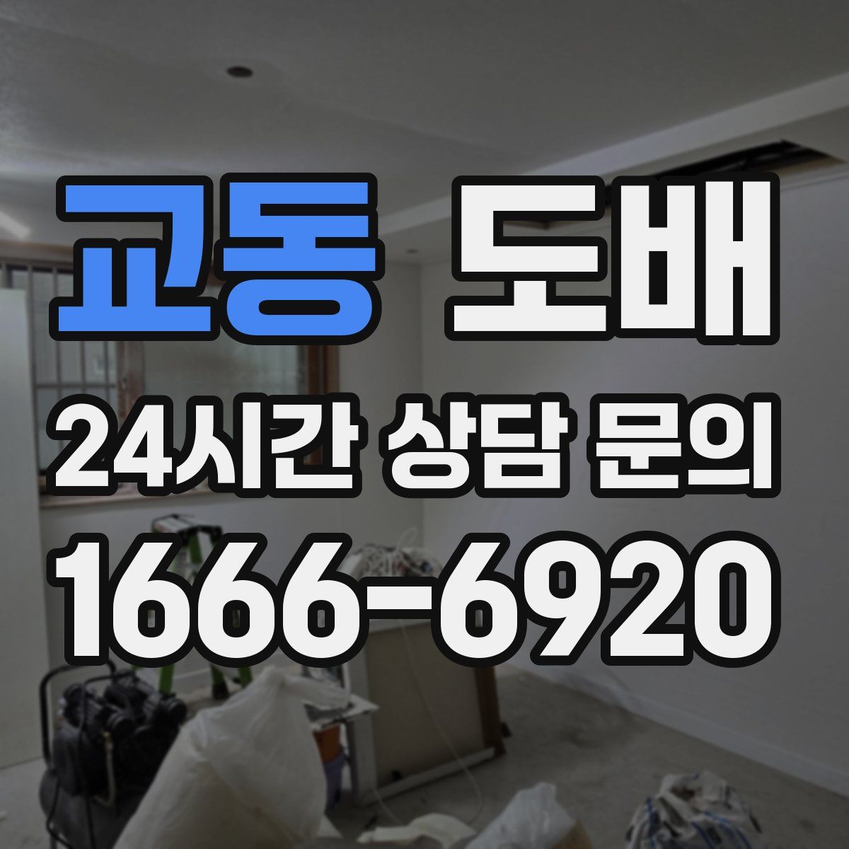 교동 도배