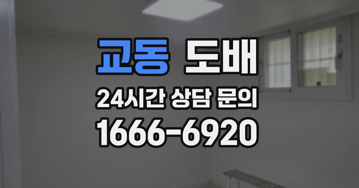 교동 도배