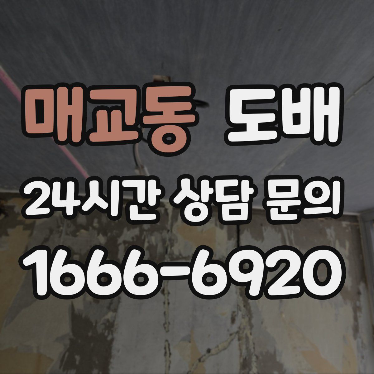 매교동 도배