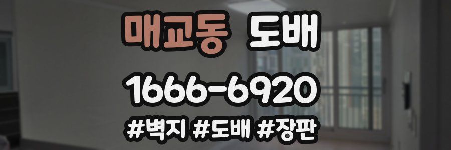 매교동 도배