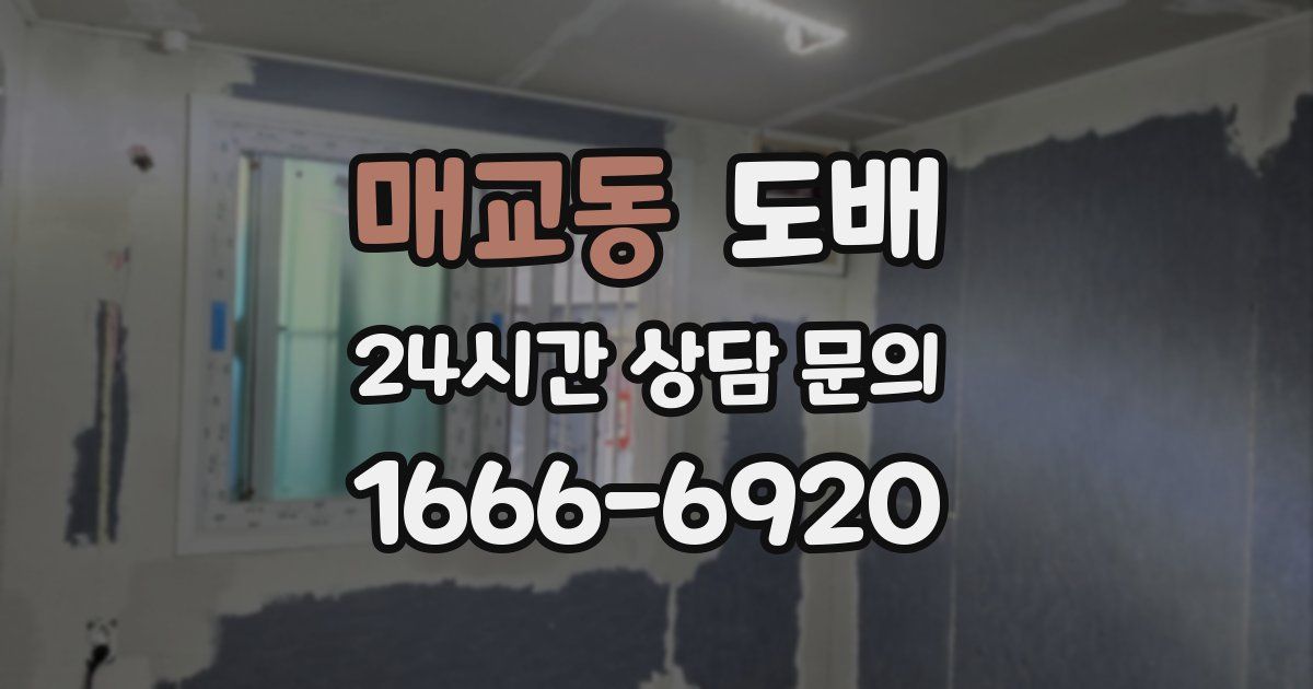 매교동 도배
