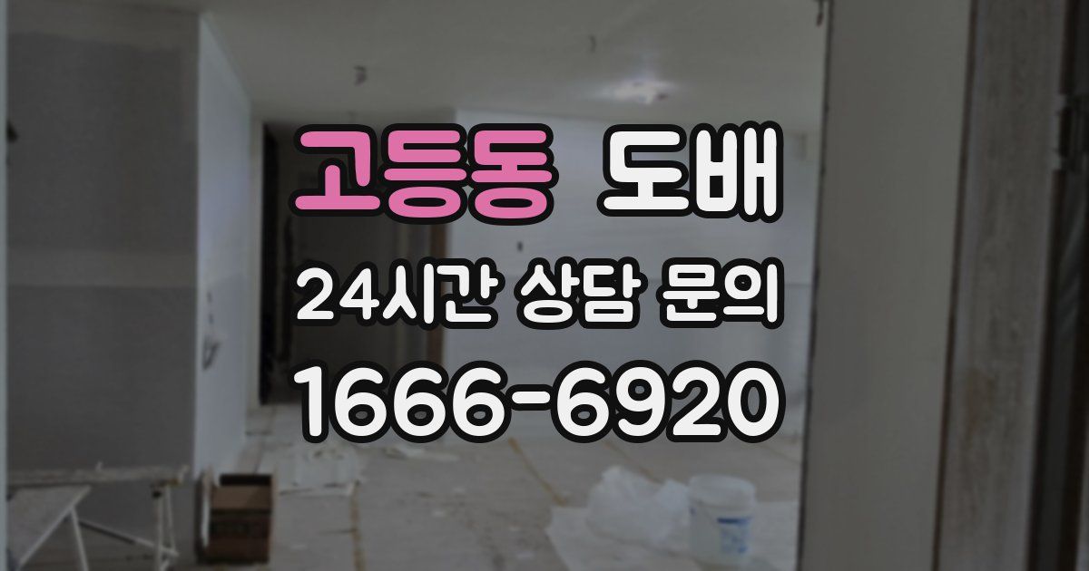 고등동 도배